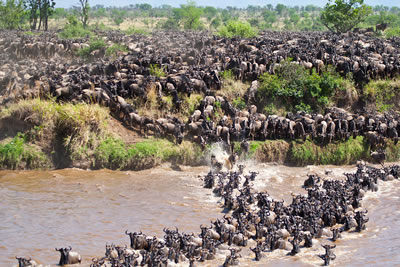 safari holidays serengeti