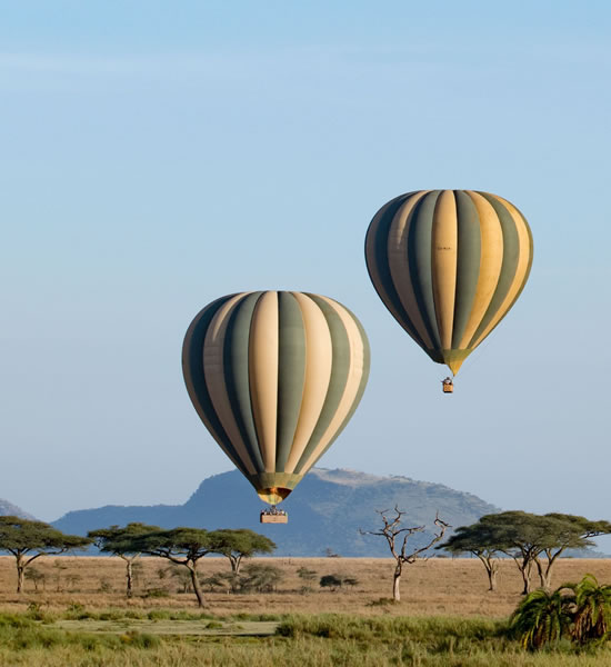 safari holidays serengeti